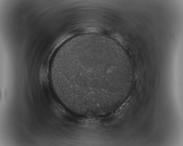 X0000085770146200703301411