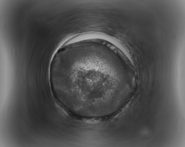 X0000085770148200703301411