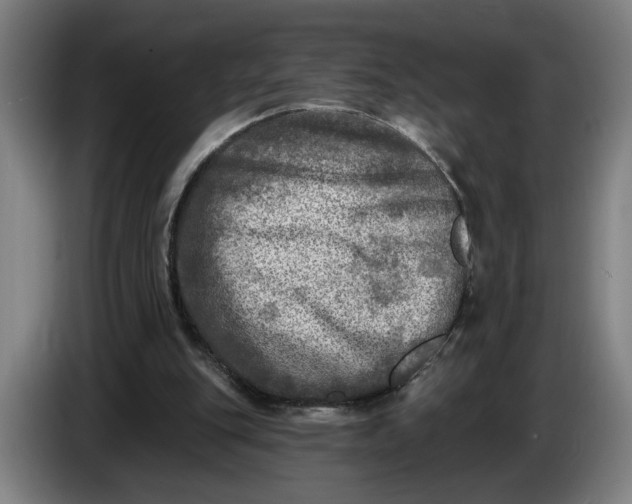 X0000085770151200703301411