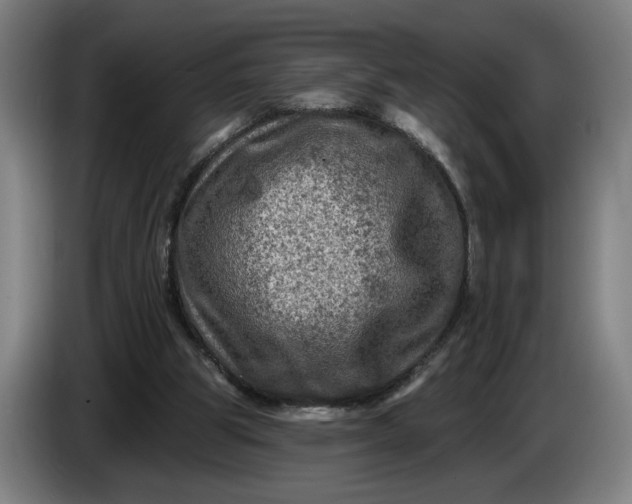 X0000085770153200703301411