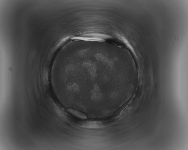 X0000085770154200703301411