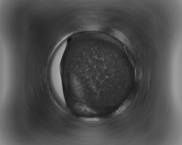 X0000085770156200703301411