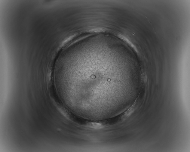 X0000085770159200703301411