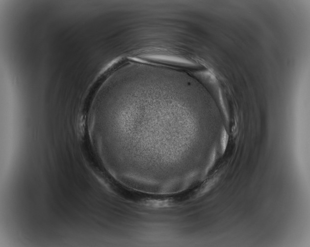 X0000085770160200703301411