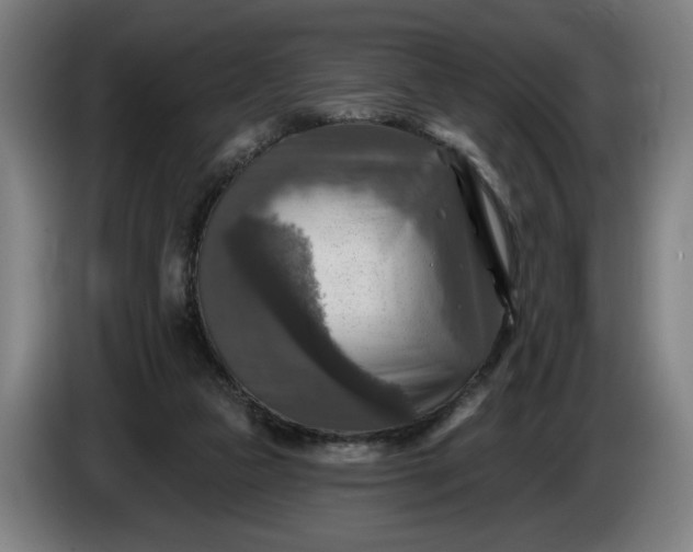 X0000085770161200703301411