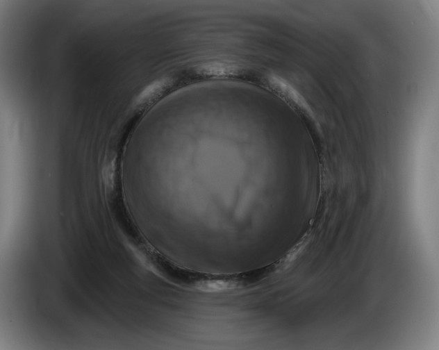 X0000085770163200703301411