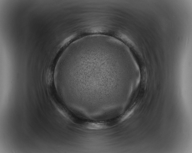 X0000085770164200703301411