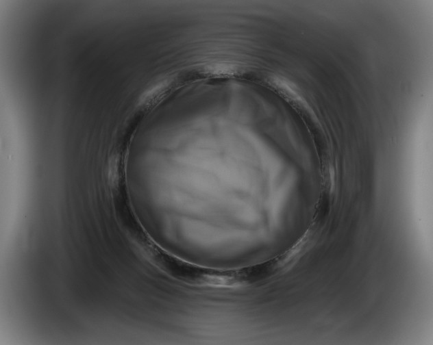 X0000085770167200703301411