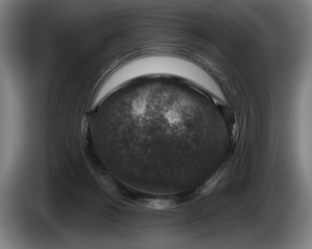 X0000085770168200703301411