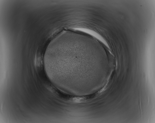 X0000085770172200703301411