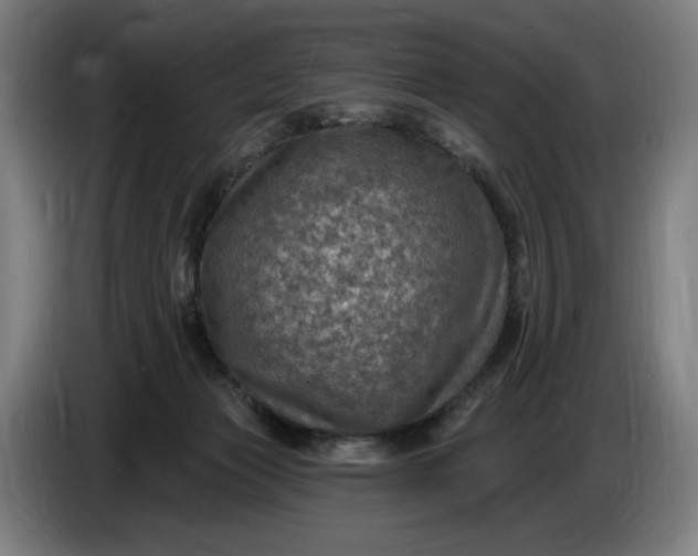 X0000085770173200703301411