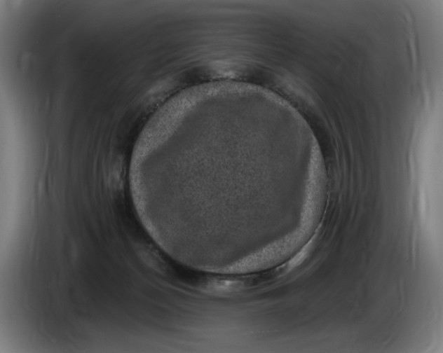 X0000085770174200703301411