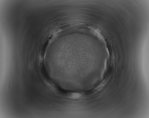 X0000085770176200703301411