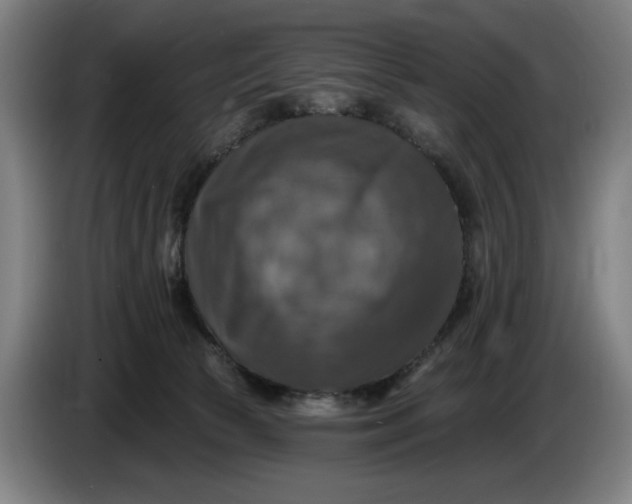 X0000085770177200703301411