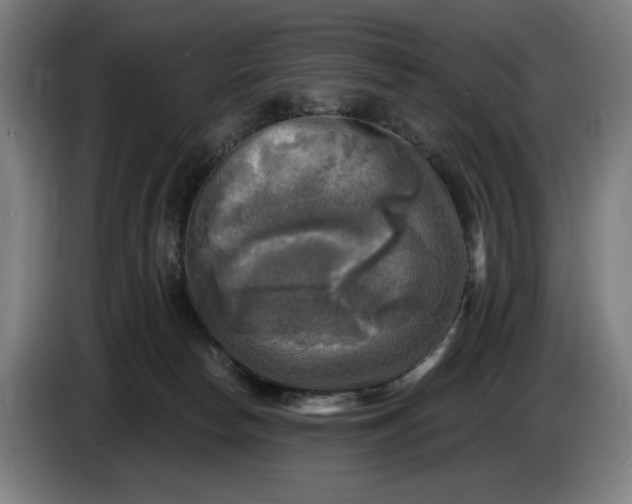 X0000085770178200703301411