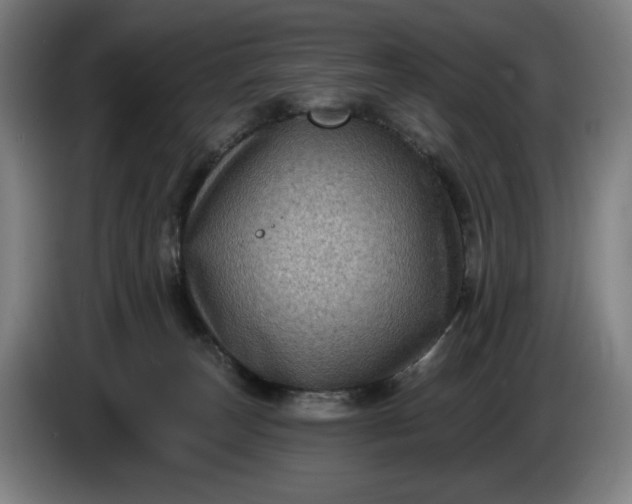 X0000085770179200703301411