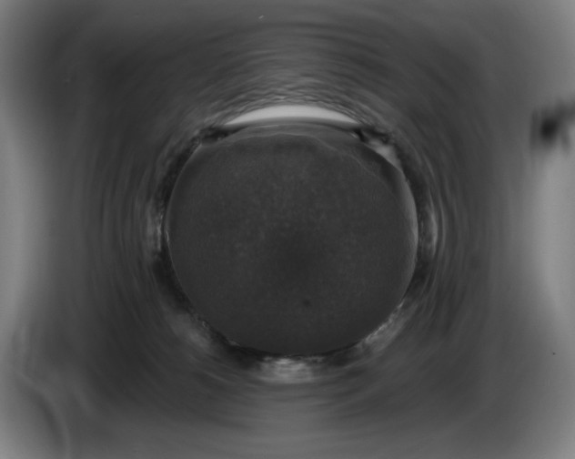 X0000085770180200703301411