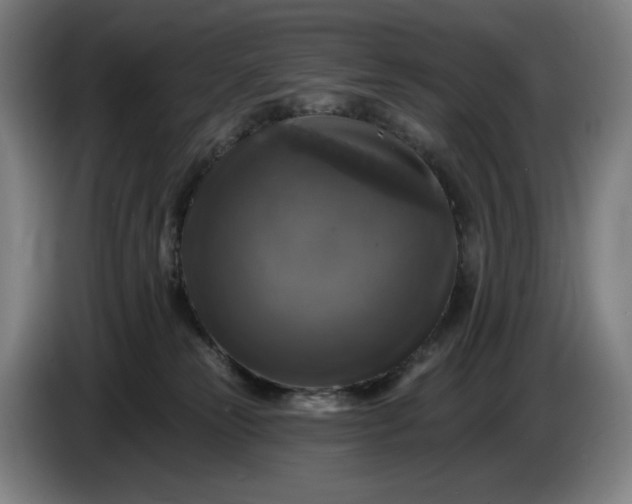 X0000085770181200703301411