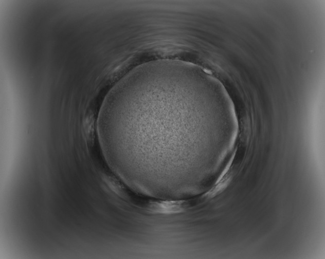 X0000085770184200703301411