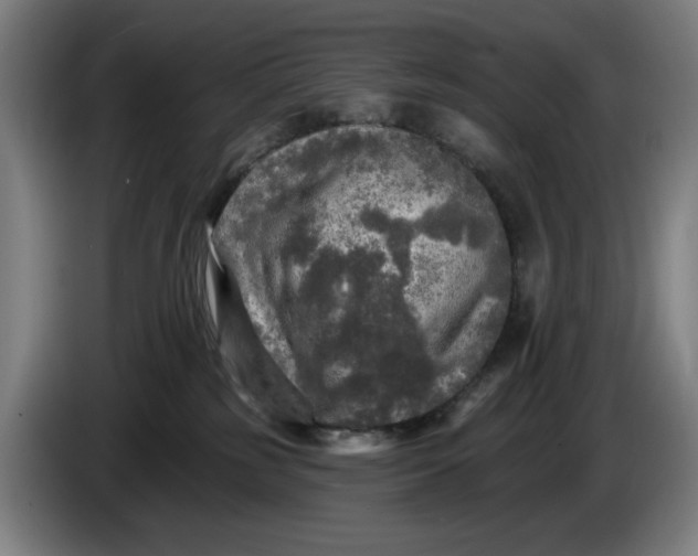 X0000085770185200703301411