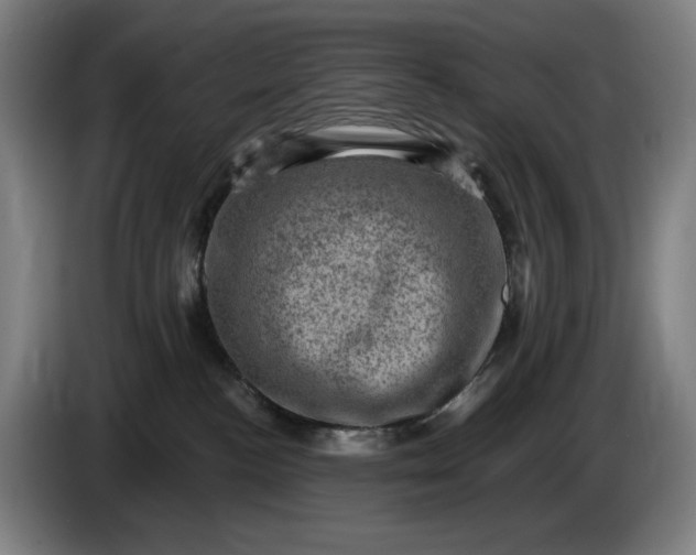 X0000085770188200703301411