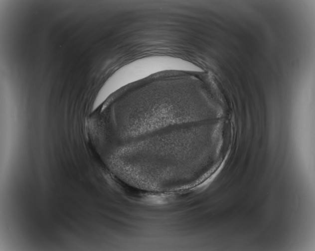 X0000085770190200703301411