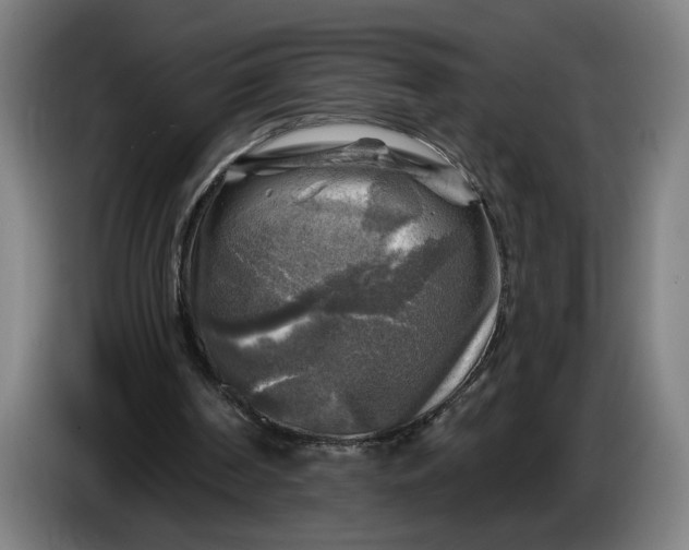 X0000085770194200703301411