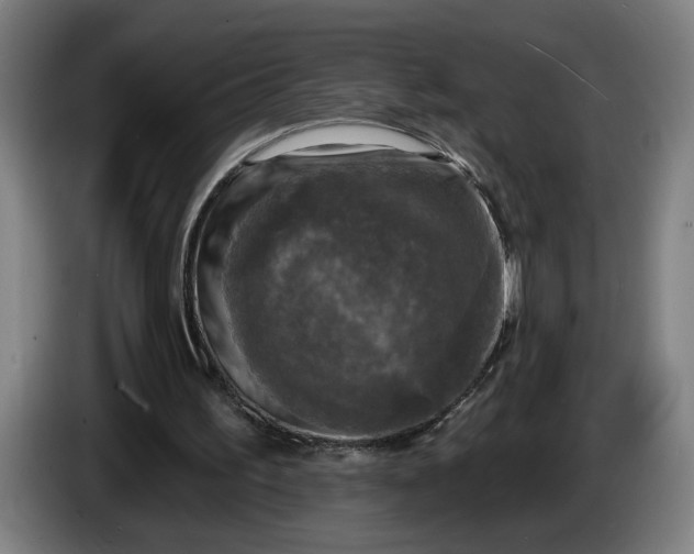 X0000085770195200703301411