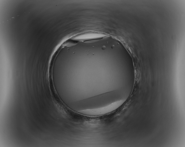 X0000085770196200703301411