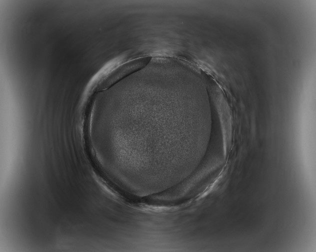 X0000085770197200703301411