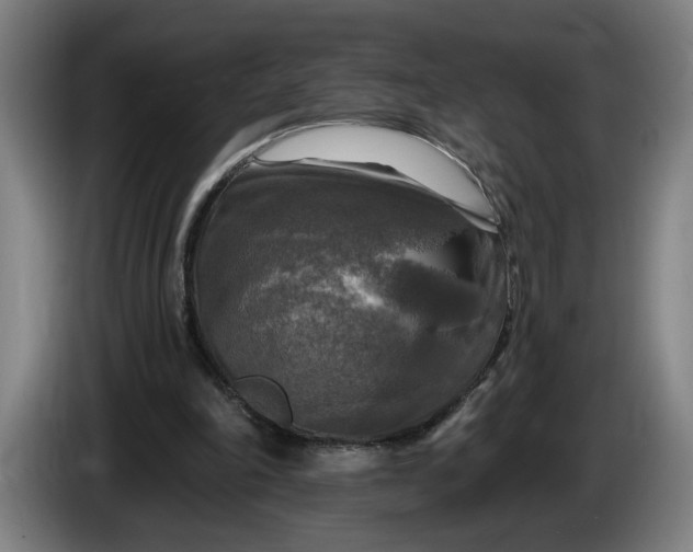 X0000085770198200703301411