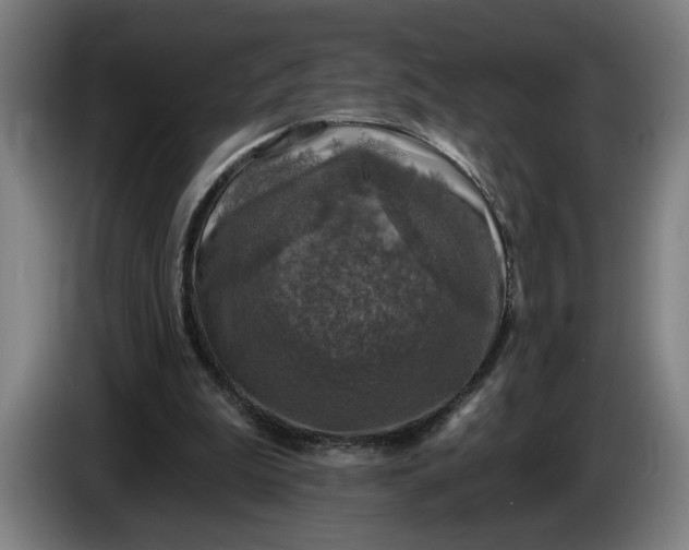 X0000085770199200703301410