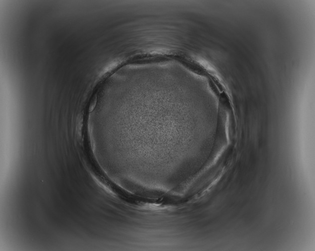 X0000085770201200703301410