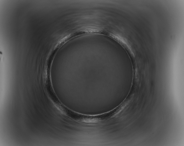 X0000085770202200703301410