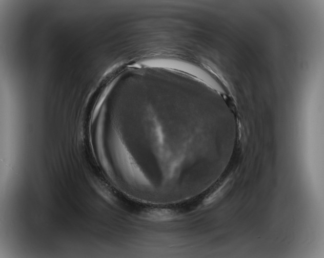 X0000085770203200703301410