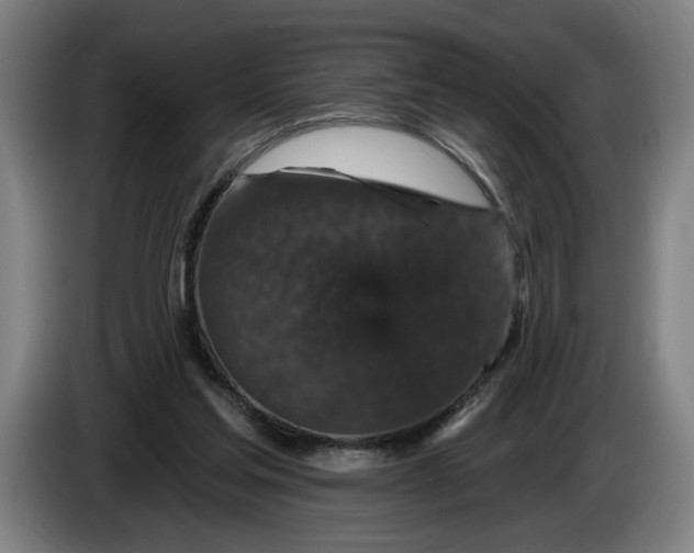 X0000085770205200703301410