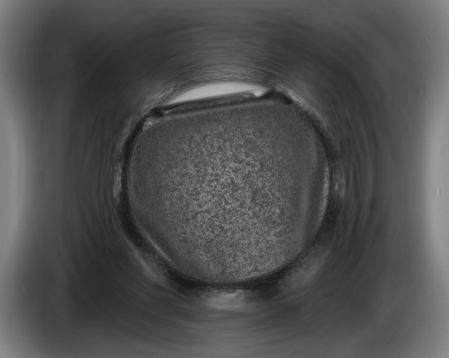 X0000085770206200703301410