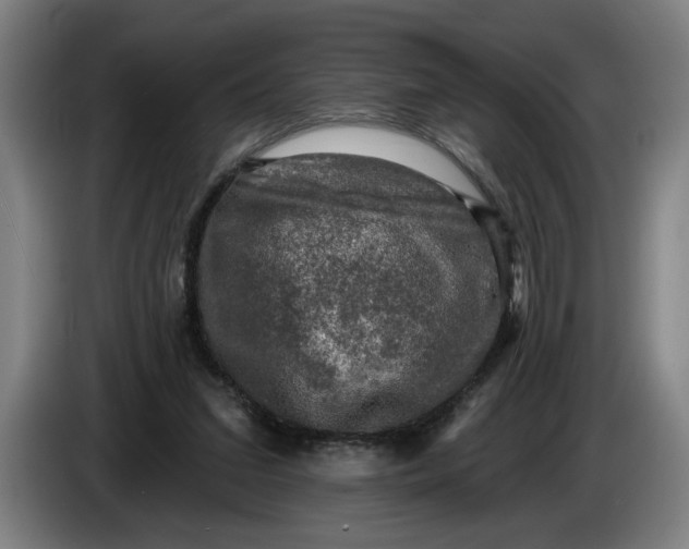 X0000085770207200703301410