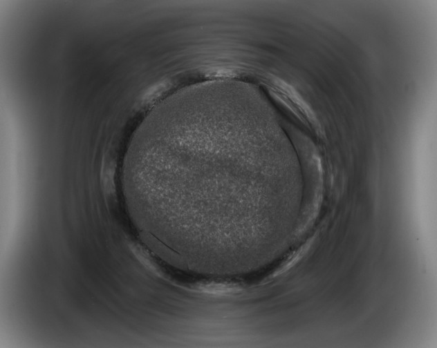 X0000085770209200703301410