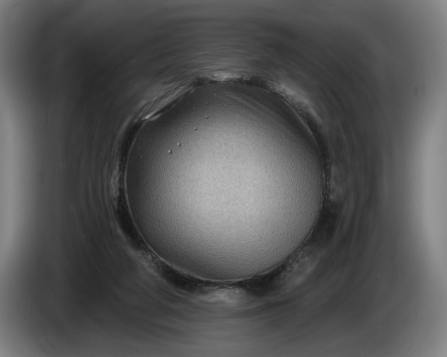 X0000085770210200703301410