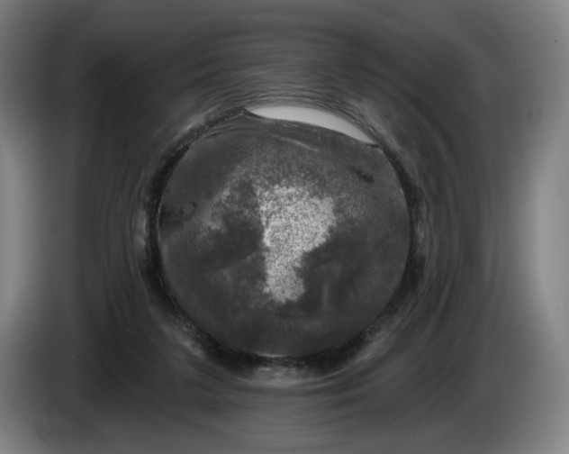 X0000085770211200703301410