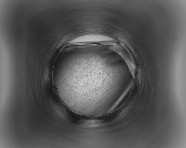 X0000085770212200703301410