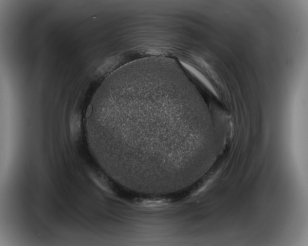 X0000085770213200703301410