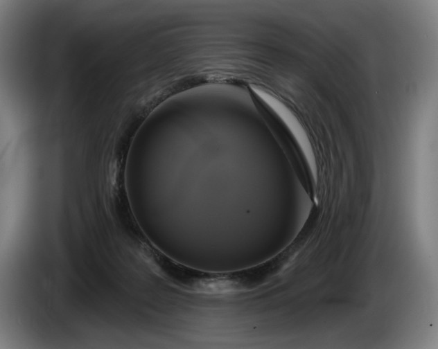 X0000085770219200703301410