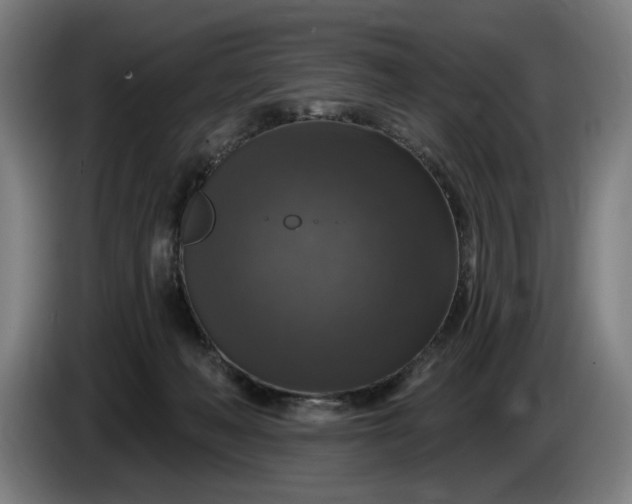 X0000085770222200703301410