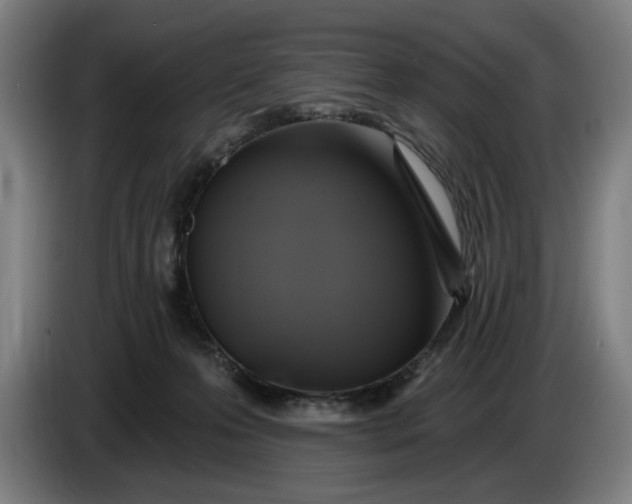 X0000085770223200703301410