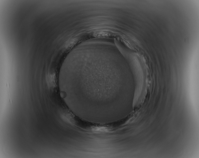 X0000085770224200703301410