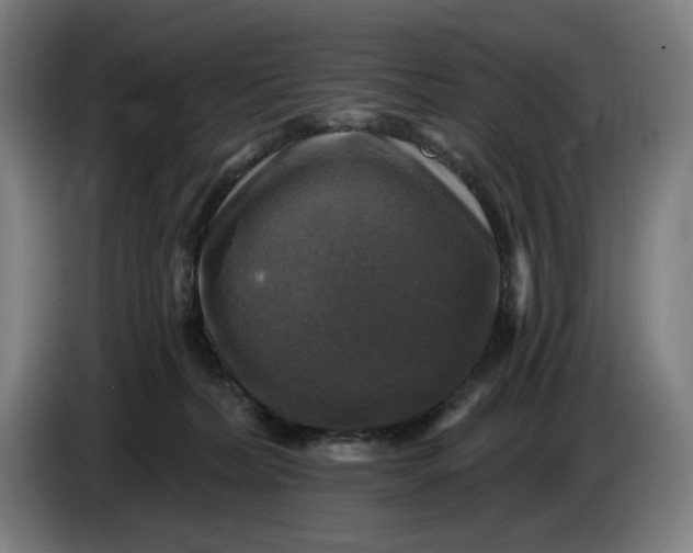 X0000085770228200703301410