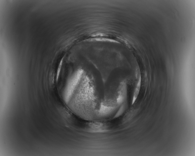 X0000085770230200703301410