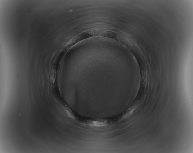 X0000085770232200703301410